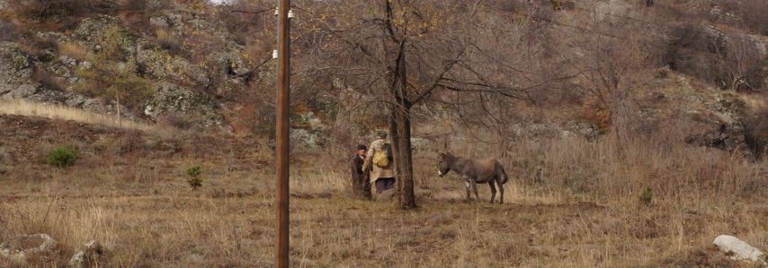 Armenia - Man with donkey