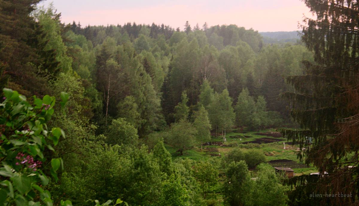 Estonia - Otepää - forest - farm